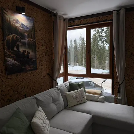 Elizi2 Winter Daire