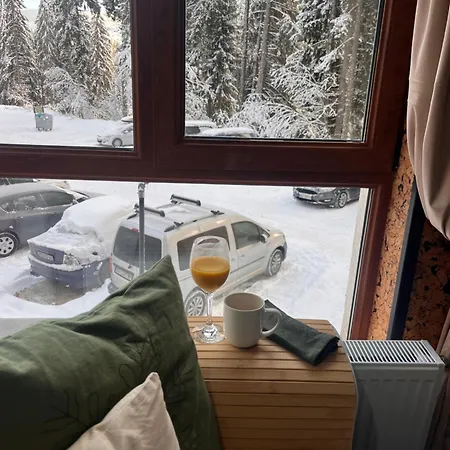 Daire Elizi2 Winter