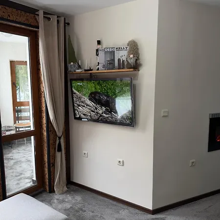 Elizi2 Winter Lejlighed