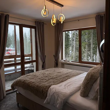 Elizi2 Winter Apartament