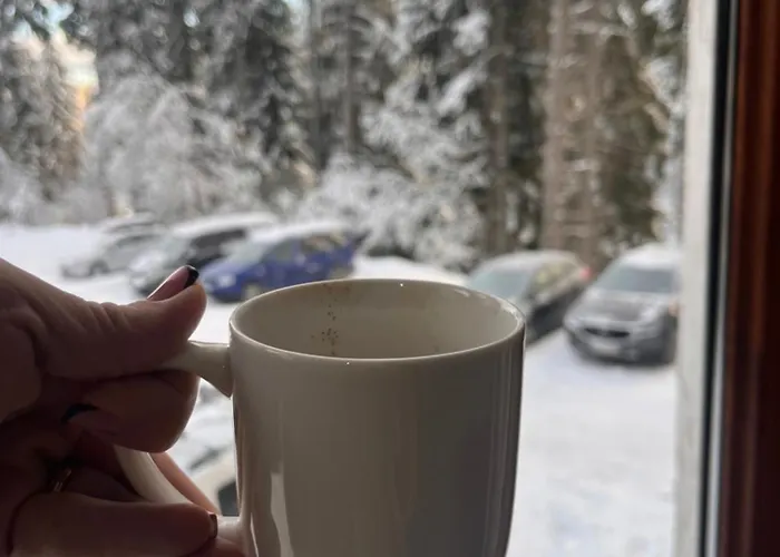 Lejlighed Elizi2 Winter