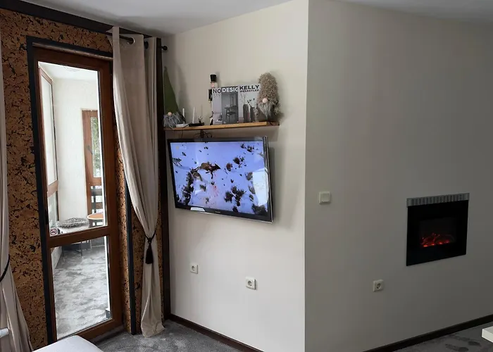 Elizi2 Winter Lejlighed *